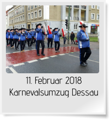 11. Februar 2018 Karnevalsumzug Dessau