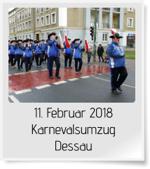 11. Februar 2018 Karnevalsumzug Dessau